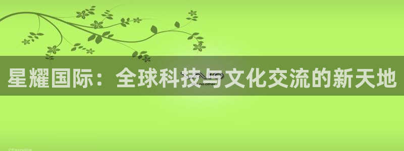 聚彩招商：星耀国际：全球科技与文化交流的新天地