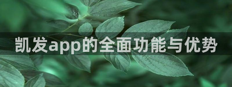 聚彩体育1招商：凯发app的全面功能与优势