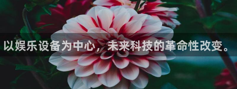 聚彩电子有限公司：以娱乐设备为中心，未来科技的革命性改变。