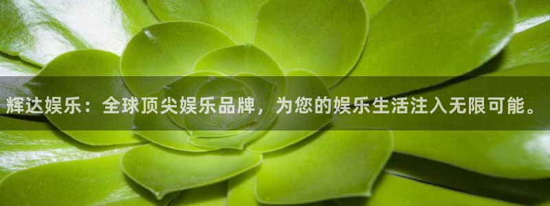 聚彩游戏有哪些好玩的：辉达娱乐：全球顶尖娱乐品牌，为您的娱乐生活注入无限可能。