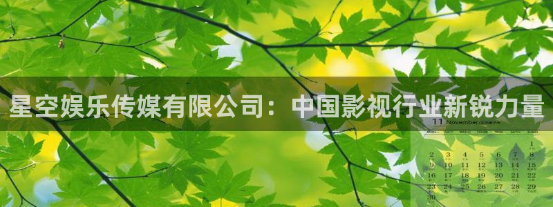 聚彩3：星空娱乐传媒有限公司：中国影视行业新锐力量