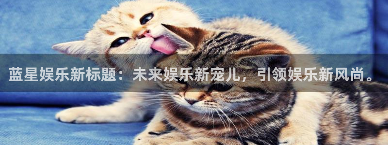 聚彩2代理注册：蓝星娱乐新标题：未来娱乐新宠儿，引领娱乐新风尚。