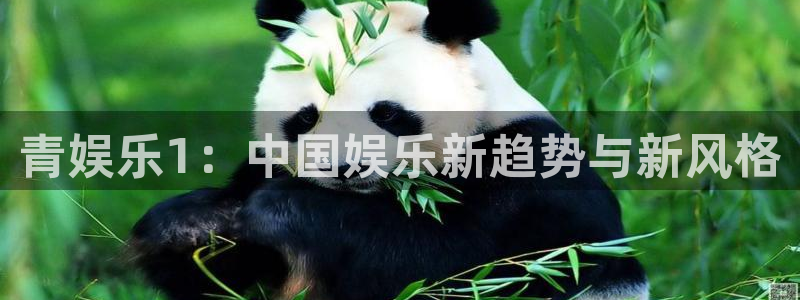 聚彩4官网：青娱乐1：中国娱乐新趋势与新风格