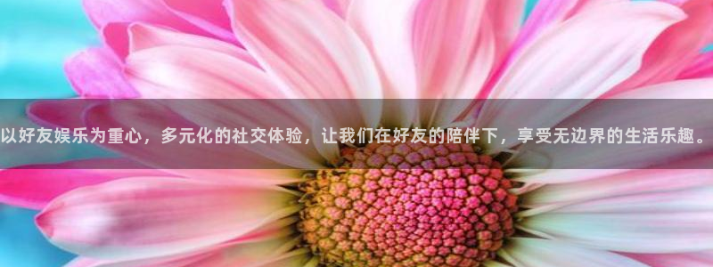 聚彩平台开户链接：以好友娱乐为重心，多元化的社交体验，让我们在好友的陪伴下，享受