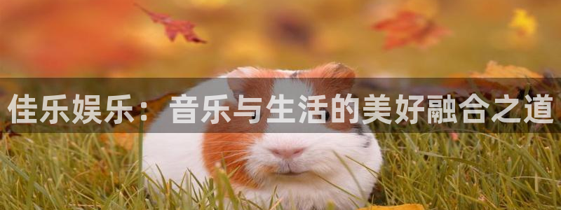 聚彩平台：佳乐娱乐：音乐与生活的美好融合之道