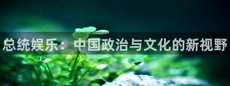 聚彩电子有限公司：总统娱乐：中国政治与文化的新视野