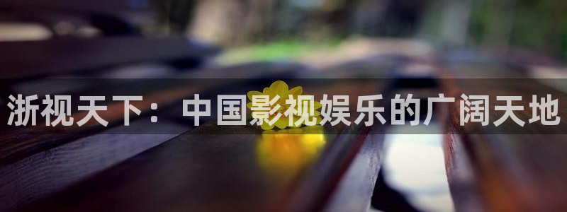 德国聚彩集团：浙视天下：中国影视娱乐的广阔天地