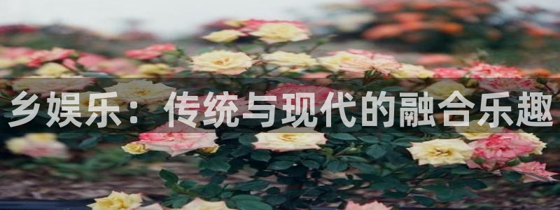聚彩体育和杏耀是哪个公司的：乡娱乐：传统与现代的融合乐趣