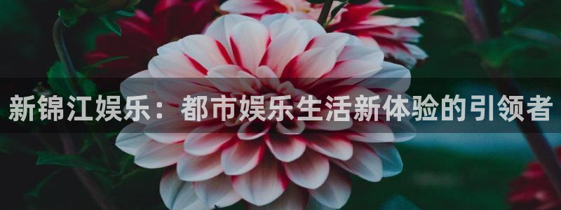 聚彩集团官网：新锦江娱乐：都市娱乐生活新体验的引领者