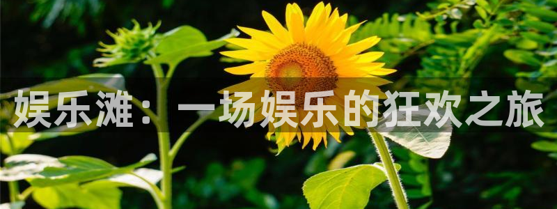 聚彩4注册：娱乐滩：一场娱乐的狂欢之旅