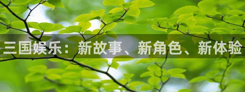 聚彩代理注册官网入口：三国娱乐：新故事、新角色、新体验