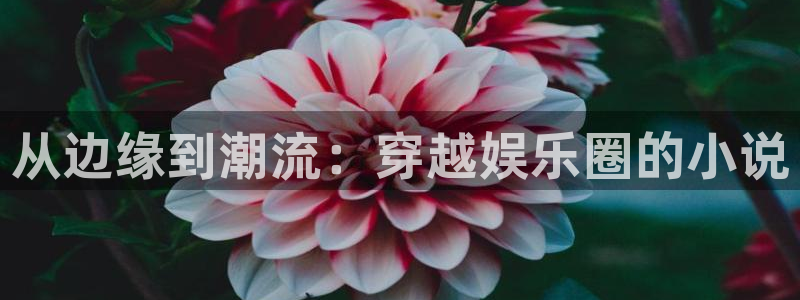 聚彩3登陆：从边缘到潮流：穿越娱乐圈的小说