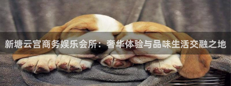聚彩能源：新塘云宫商务娱乐会所：奢华体验与品味生活交融之地
