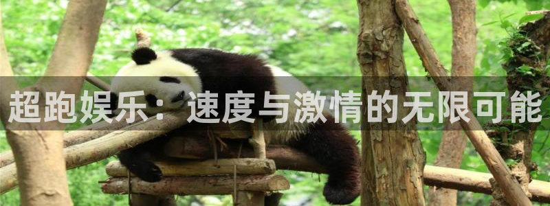 聚彩vk：超跑娱乐：速度与激情的无限可能