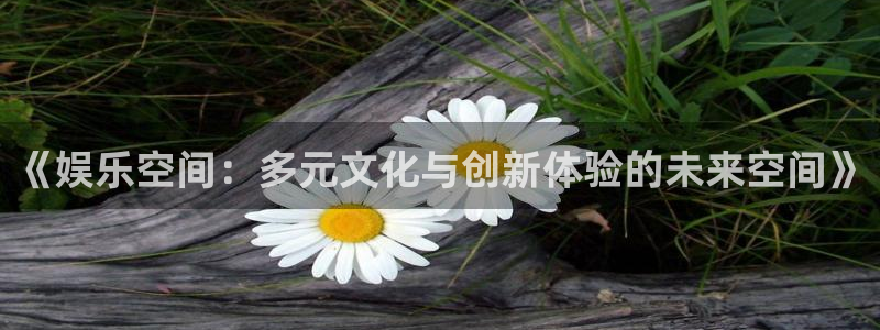 聚彩主管：《娱乐空间：多元文化与创新体验的未来空间》