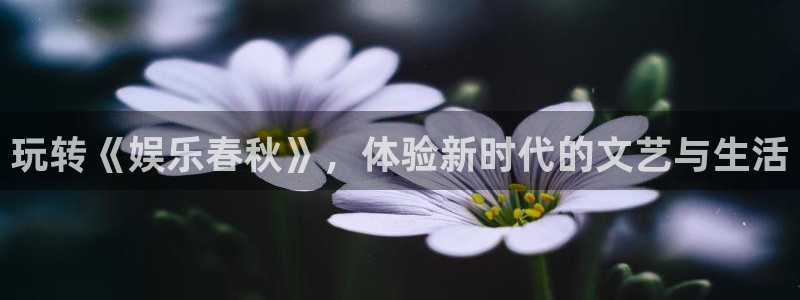 聚彩2体育：玩转《娱乐春秋》，体验新时代的文艺与生活
