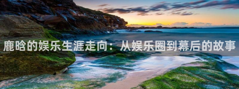 聚彩体育平台注册：鹿晗的娱乐生涯走向：从娱乐圈到幕后的故事