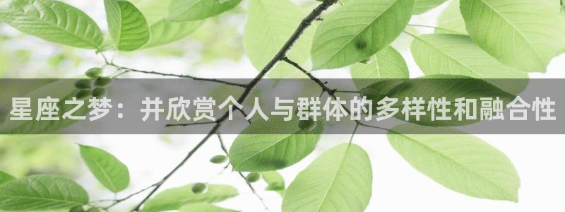 聚彩体育代理：星座之梦：并欣赏个人与群体的多样性和融合性